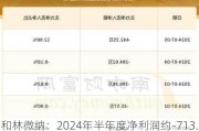 和林微纳：2024年半年度净利润约-713.72万元