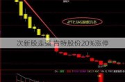 次新股走强 肯特股份20%涨停