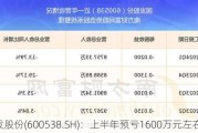 国发股份(600538.SH)：上半年预亏1600万元左右