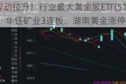 黄金股异动拉升！行业最大黄金股ETF(517520)大涨2.4%，华钰矿业3连板、湖南黄金涨停！