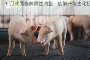 生猪：6 月或面临阶段性调整，能繁产能去化接近尾声