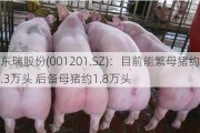 东瑞股份(001201.SZ)：目前能繁母猪约6.3万头 后备母猪约1.8万头