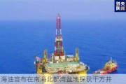 中国海油宣布在南海北部湾盆地探获千方井