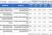 *ST洪涛（002325）：6月14日13时11分触及涨停板