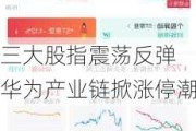 三大股指震荡反弹 华为产业链掀涨停潮