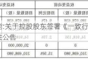 金开新能:关于控股股东签署《一致行动协议》的提示性公告