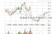 易康盘中异动 大幅拉升5.10%