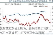 恐慌指数做多涨3.83%，新兴市场ETF跌1.49%：市场波动中的投资机会与风险