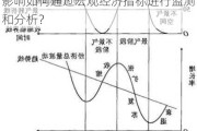 什么是资金外流对经济的影响？这种影响如何通过宏观经济指标进行监测和分析？