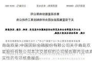 青岛双星:中国国际金融股份有限公司关于青岛双星股份有限公司本次交易标的公司报告期内业绩真实性的专项核查报告