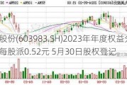 丸美股份(603983.SH)2023年年度权益分派：每股派0.52元 5月30日股权登记