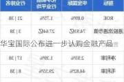 华宝国际公布进一步认购金融产品