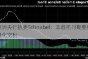 欧洲央行执委Schnabel：非危机时期要慎用量化宽松