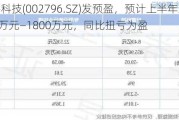 世嘉科技(002796.SZ)发预盈，预计上半年净利润1500万元—1800万元，同比扭亏为盈