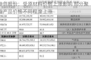 神剑股份：受原材料价格上涨影响 部分聚酯产品价格不同程度上涨