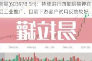 深圳新星(603978.SH)：持续进行四氟铝酸钾在电解铝工业推广，目前下游客户试用反馈较好