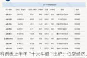 科创板上半年“十大牛股”出炉：低空经济、减肥药概念位列前二 PCB、算力芯片上榜