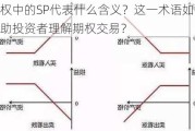 期权中的SP代表什么含义？这一术语如何帮助投资者理解期权交易？