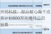 洲明科技：部分核心骨干成员计划800万元增持公司股票