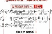 多家券商争相调研“萝卜快跑” 相关产业链哪些环节想象空间最大？