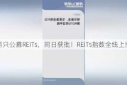 两只公募REITs，同日获批！REITs指数全线上涨