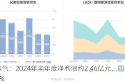 明阳电气：2024年半年度净利润约2.46亿元，同比增加52.36%