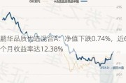 鹏华品质优选混合A：净值下跌0.74%，近6个月收益率达12.38%