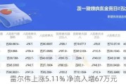 雷尔伟上涨5.11% 净流入增67万元