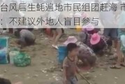 台风后生蚝遍地市民组团赶海 市民：不建议外地人盲目参与