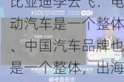 比亚迪李云飞：电动汽车是一个整体、中国汽车品牌也是一个整体，出海需要携手努力