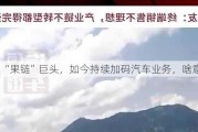 昔日“果链”巨头，如今持续加码汽车业务，啥意思？