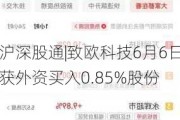 沪深股通|致欧科技6月6日获外资买入0.85%股份