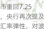 美元指数突破107后离岸人民币重回7.25，央行再次提及汇率弹性，对波动率容忍度或在提升