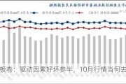 热轧板卷：驱动因素好坏参半，10月行情当何去何从？