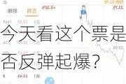 今天看这个票是否反弹起爆？