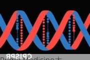 Prime Medicine大涨约45% 与施贵宝签署研究合作与许可协议