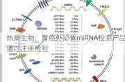 热景生物：胃癌外泌体miRNA检测产品通过注册检验