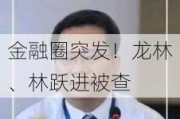 金融圈突发！龙林、林跃进被查