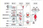 如何理解热轧产品的市场表现