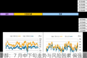 甲醇：7 月中下旬走势与风险因素 偏强运行？