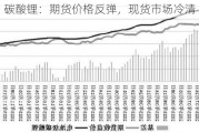 碳酸锂：期货价格反弹，现货市场冷清