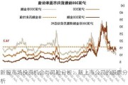 新股市场投资机会与风险分析：新上市公司的股票分析