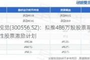 丝路视觉(300556.SZ)：拟推486万股股票期权与限制性股票激励计划