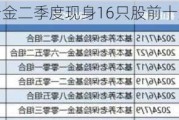 养老金二季度现身16只股前十大流通股东榜