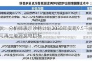 光伏：分析师表示沙特计划2030年实现9.5千兆瓦的可再生能源发电目标