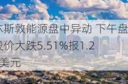 休斯敦能源盘中异动 下午盘股价大跌5.51%报1.20美元