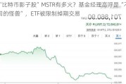 “比特币影子股”MSTR有多火？基金经理高呼是“不同的怪兽”，ETF被限制掉期交易