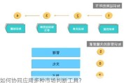 如何协同应用多种市场判断工具？