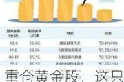 重仓黄金股，这只基金单日大涨4.3%！年内收益冲到全市场第三