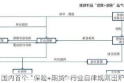 国内首个“保险+期货”行业自律规则出炉